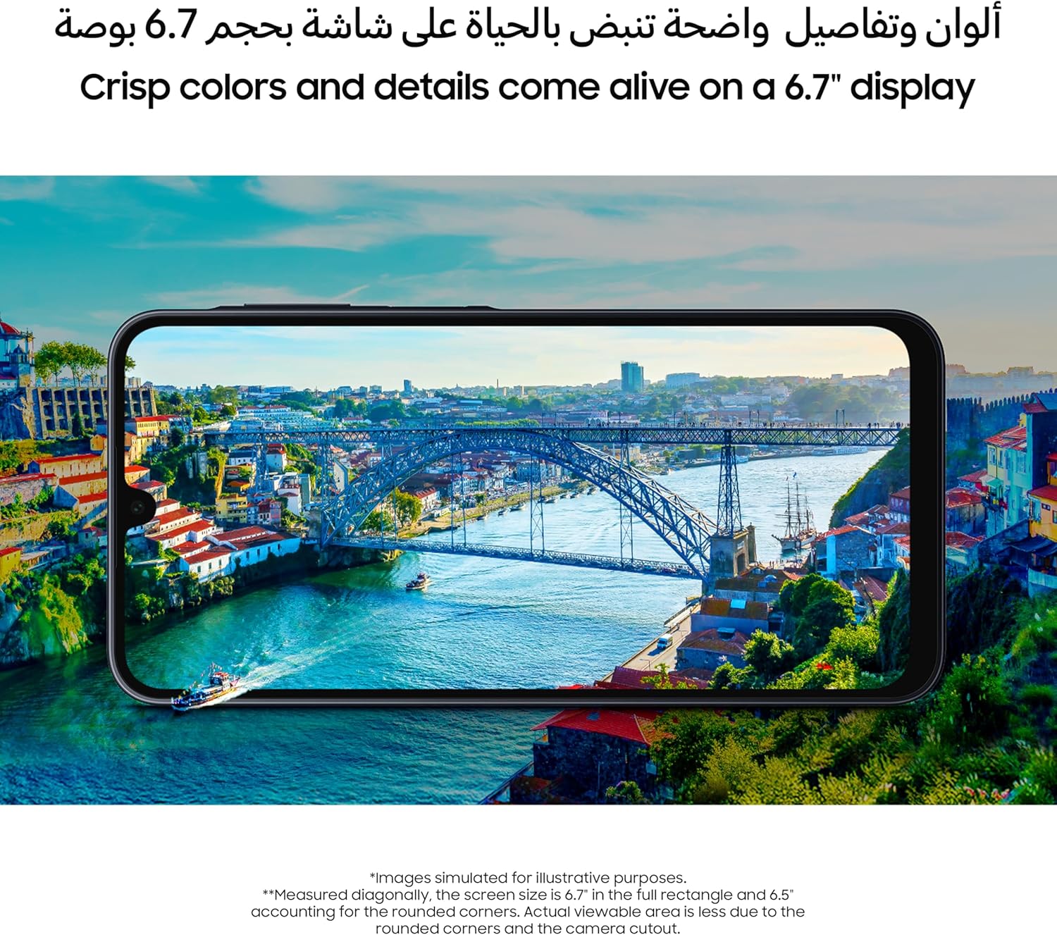 https://m.media-amazon.com/images/I/91Ej0A8Y51L._AC_SL1500_.jpg
